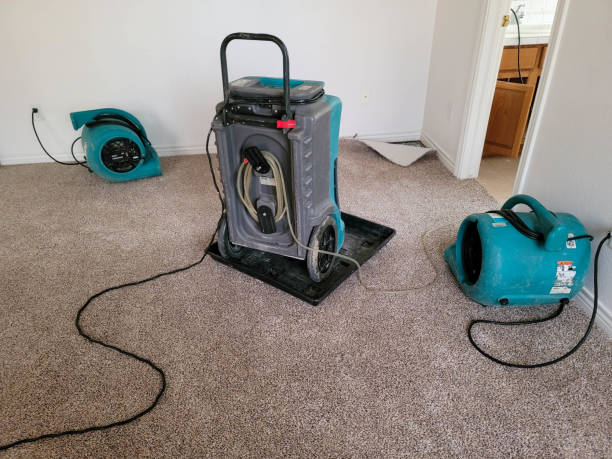 Best Emergency water extraction  in Elkton, VA