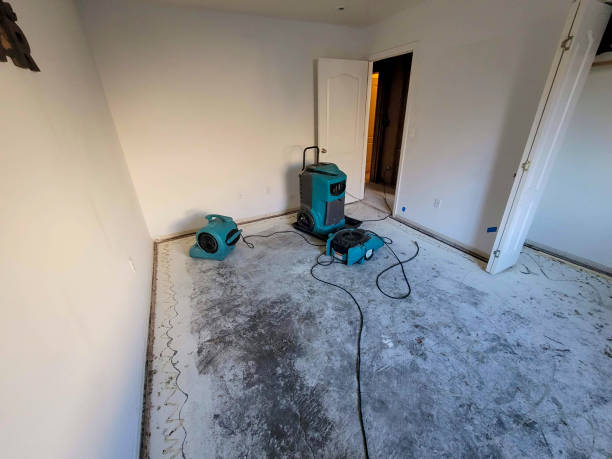 Best Water damage cleanup near me  in Elkton, VA