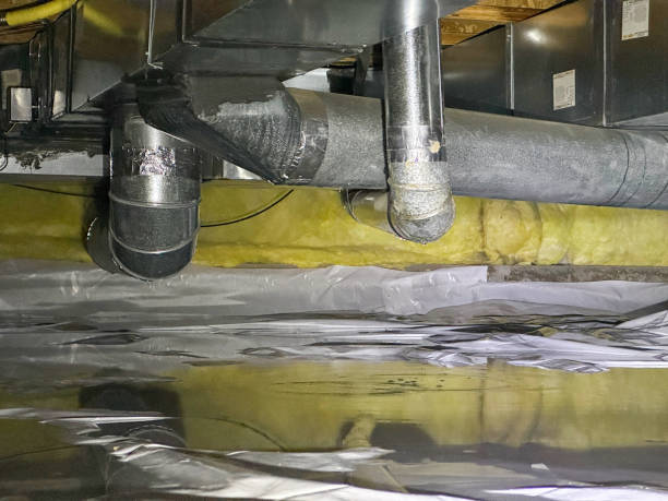 Best Fire Damage Restoration  in Elkton, VA