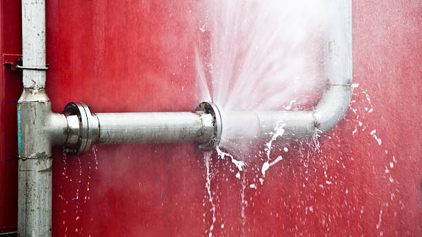 Best Water damage contractors near me  in Elkton, VA